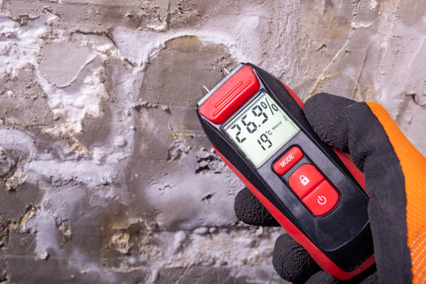 Best Mold Testing  in Clarkston, WA