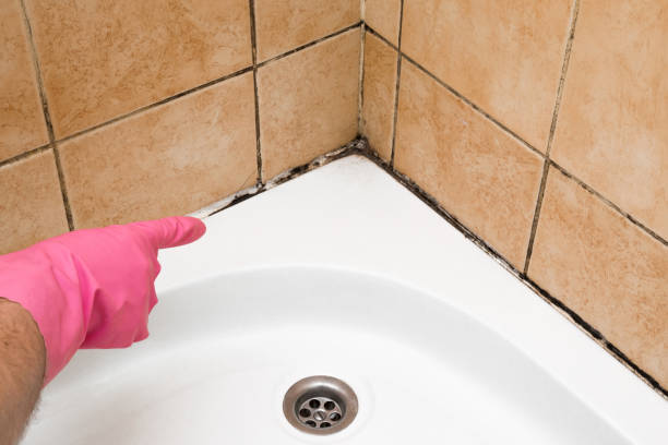 Best Mold Testing  in Clarkston, WA